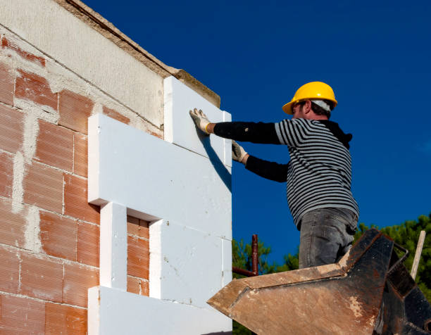 Best Fiberglass Insulation in Eustis, FL