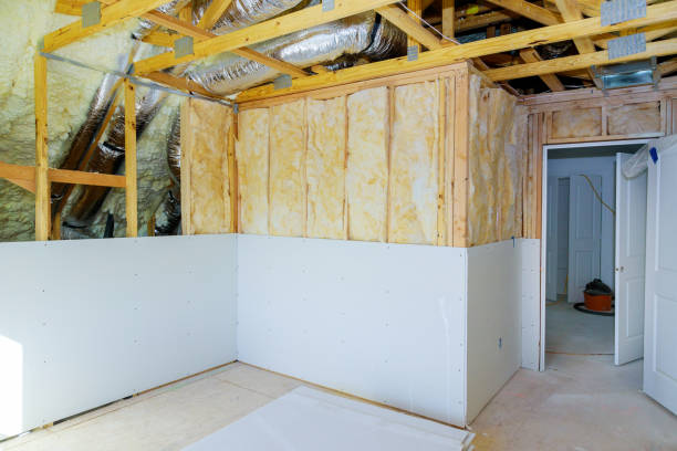 Best Energy Efficiency Insulation in Eustis, FL