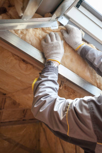 Best Commercial Insulation in Eustis, FL