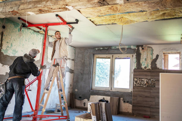 Best Blown-in Insulation in Eustis, FL