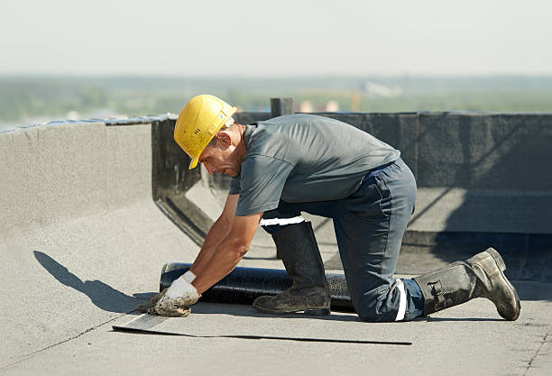 Best Energy Efficiency Insulation in Eustis, FL