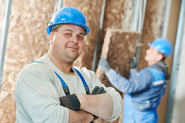Best Residential Insulation in Eustis, FL
