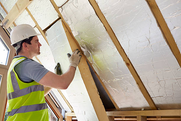 Types of Insulation We Offer in Eustis, FL