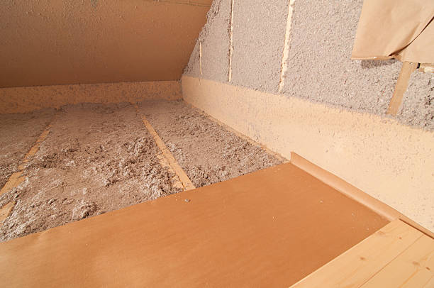 Best Residential Insulation in Eustis, FL