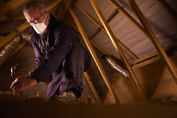 Types of Insulation We Offer in Eustis, FL