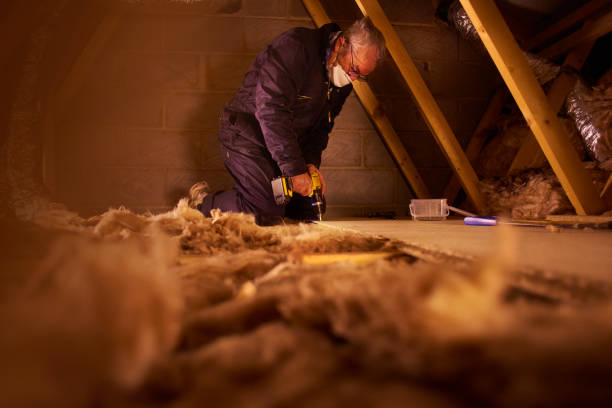 Best Commercial Insulation in Eustis, FL